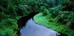 Какая река длиннее: Амазонка или Нил?