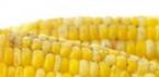 Как сварить кукурузу в кастрюле мягкой и сочной