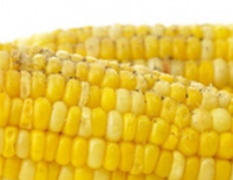Как варить кукурузу, чтобы она получалась мягкой и сочной? Как сварить кукурузу в кастрюле мягкой и сочной. 
